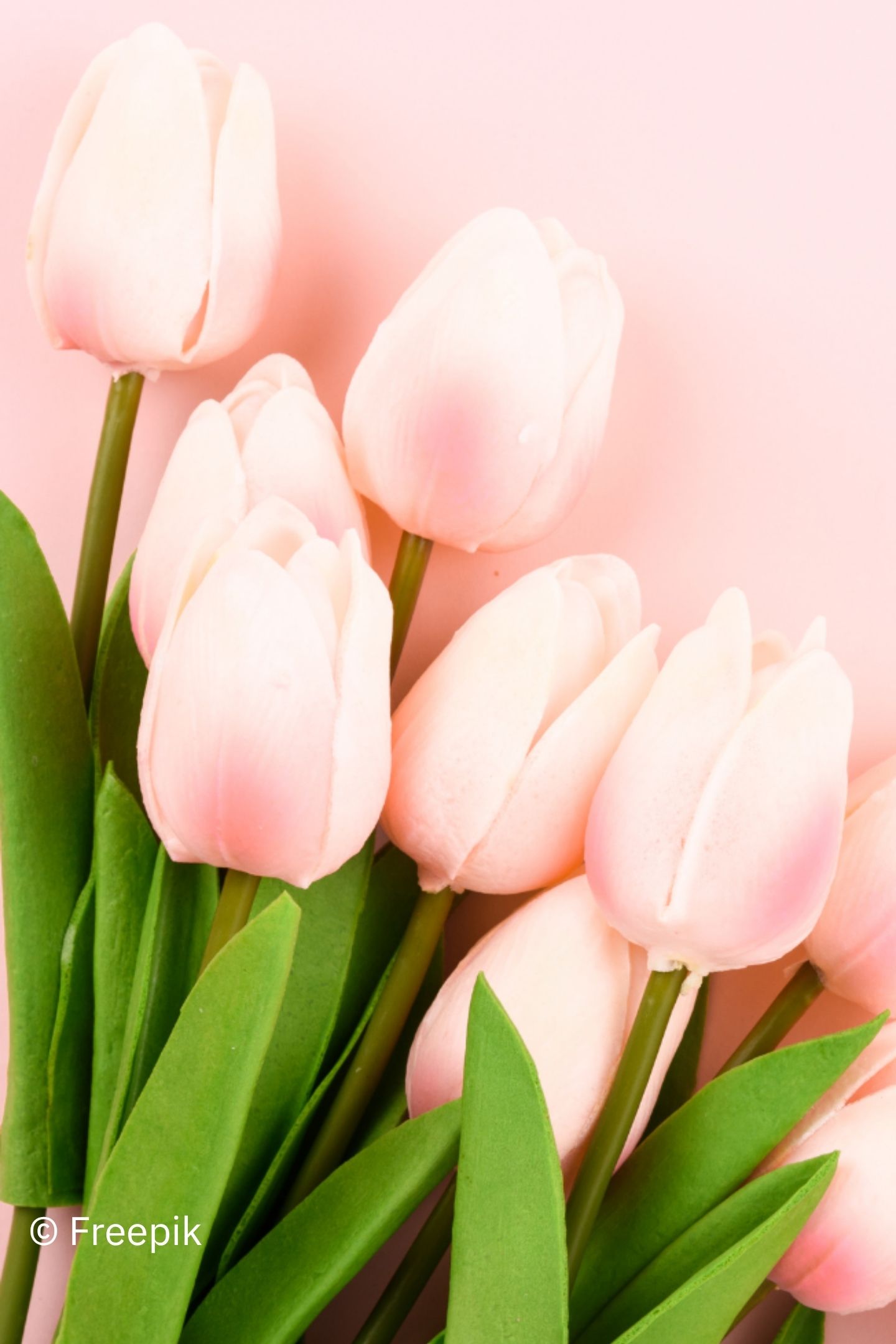 Vorschaubild: Muttertag